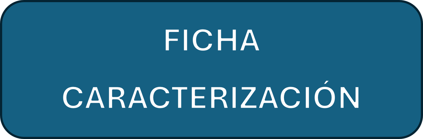 ficha de caracterización drones categoría específica